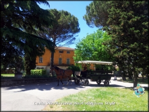 Tenuta A Cenaia Livorno