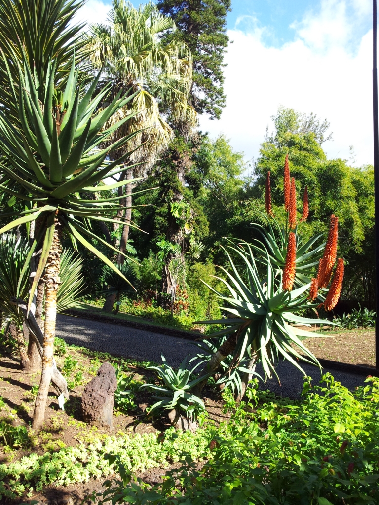 Madeira giardino del governatore