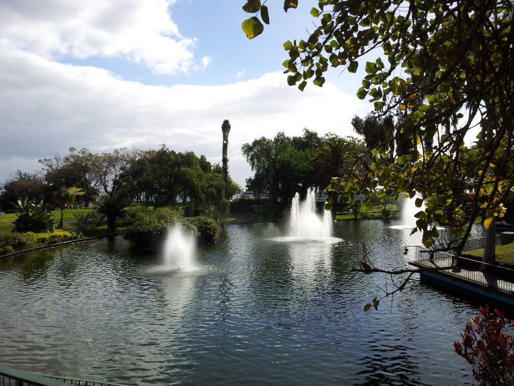 Madeira giardini pubblici