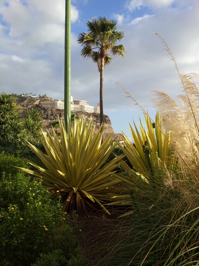 Gran-Canaria (1)