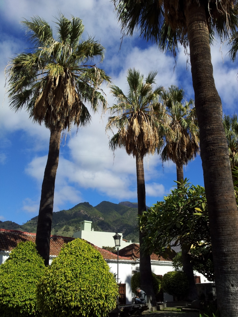 Isola de La Palma (1)