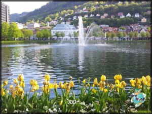 20150609_085911