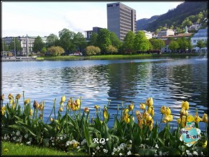 20150609_085916