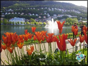 20150609_090349