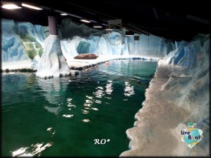 Foto Tromso, Norvegia (252)