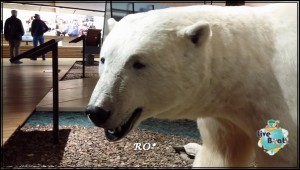 Longyearbyen Svalbard (136)