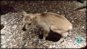 Longyearbyen Svalbard (51)